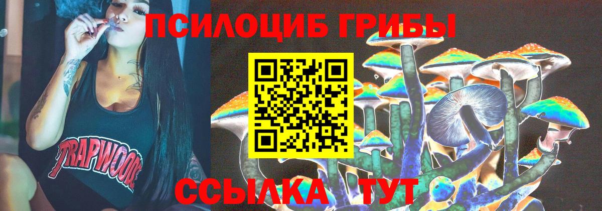 Галлюциногенные грибы Magic Shrooms  Вход с VPN  Зима 